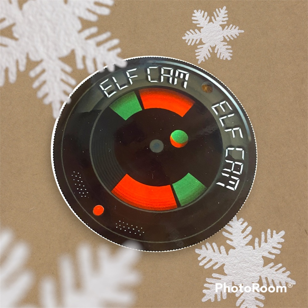 Elf Cam ornament